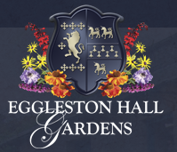 eg